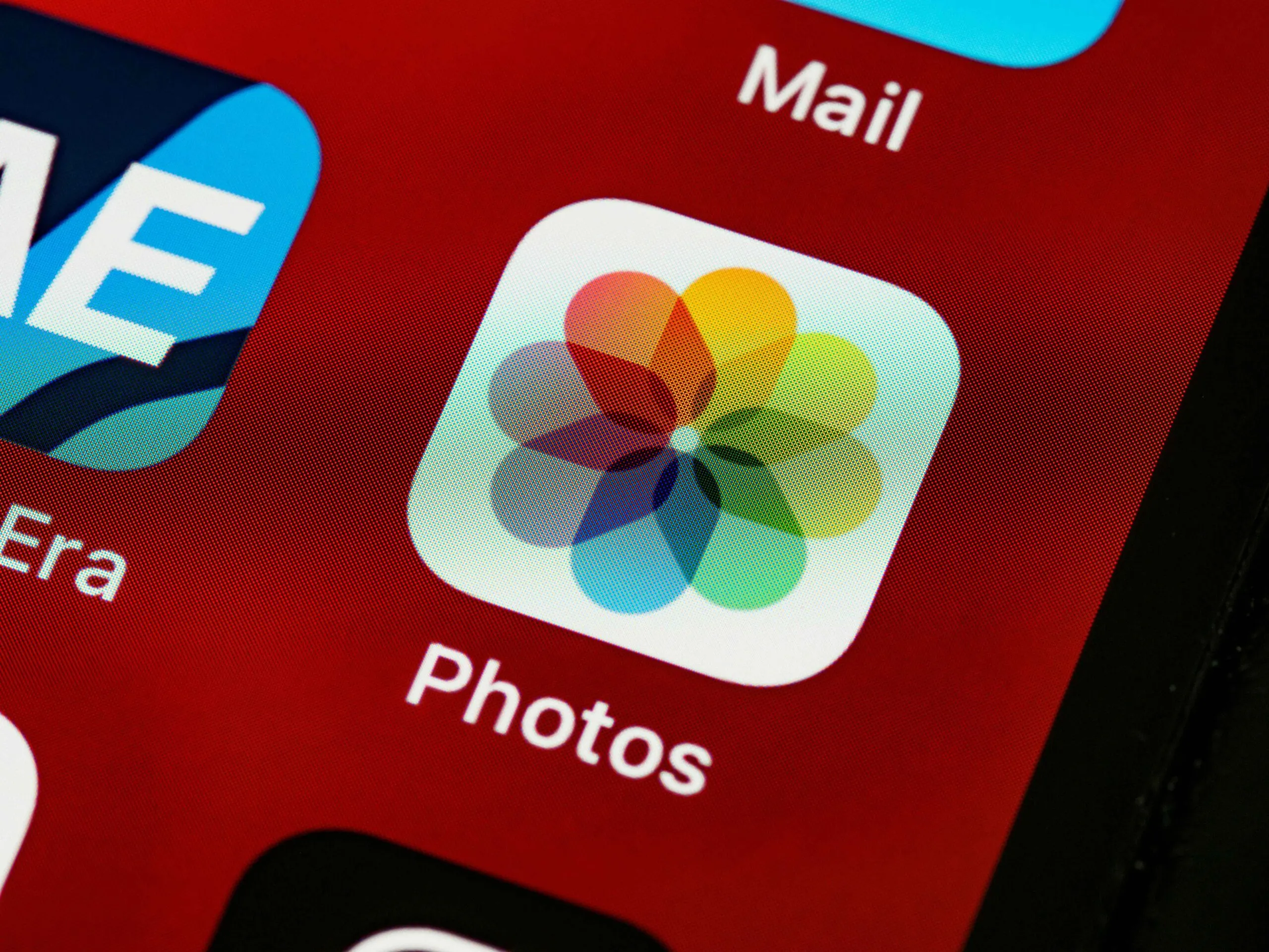 How to Find Deleted Photos on Instagram How to Find Deleted Photos on Instagram