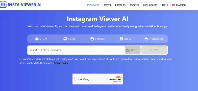Screenshot showing human verification prompt on Insta Viewer AI website