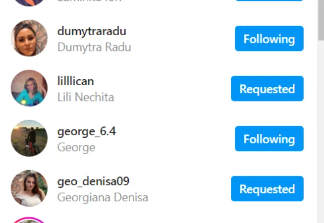 Following List on Instagram 
