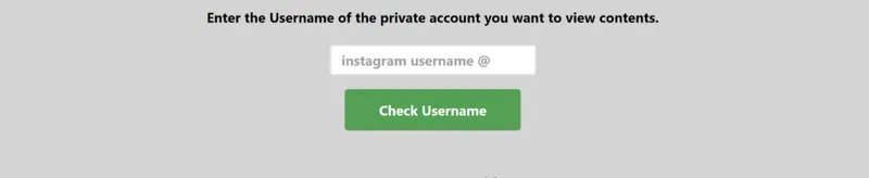 Screenshot showing the steps to use an Instagram viewer tool: enter the username of the Instagram profile you want to view Screenshot showing the steps to use an Instagram viewer tool: enter the username of the Instagram profile you want to view