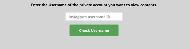 Screenshot showing the steps to use an Instagram viewer tool: enter the username of the Instagram profile you want to view