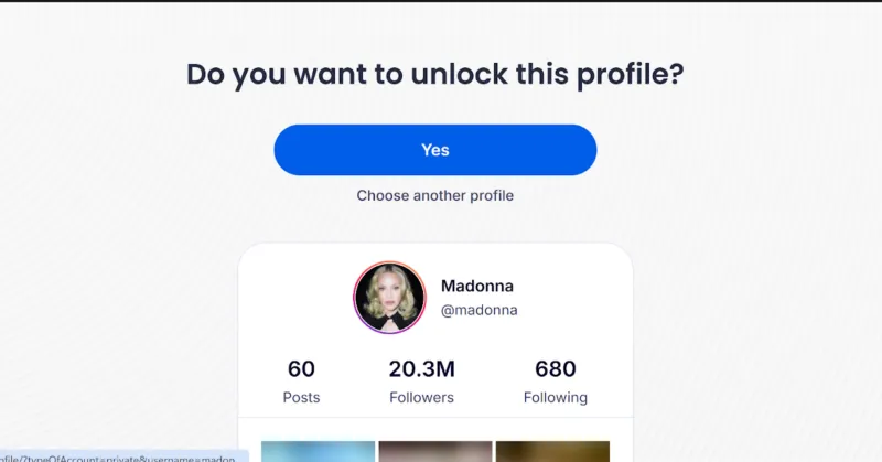 Screenshot showing Madonna’s Instagram account on Peekviewer, allowing you to confirm it is the correct profile.