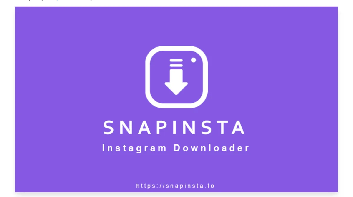 SnapInsta Private Downloader Review