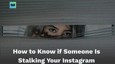 How to Know if Someone Is Stalking Your Instagram