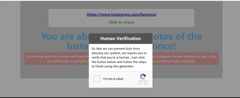 Screenshot showing the steps to use an Instagram viewer tool: complete human verification Screenshot showing the steps to use an Instagram viewer tool: complete human verification