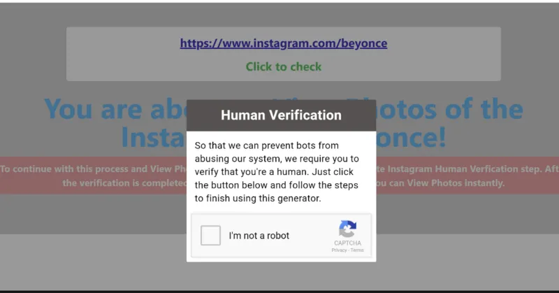 Screenshot showing the steps to use an Instagram viewer tool: complete human verification 