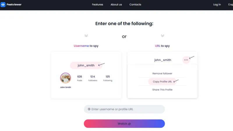 How to use Peekviewer – entering the target Instagram username to start monitoring
