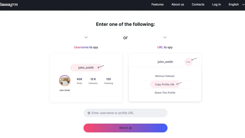 Step-by-Step Guide on how to use Glassagrm - Enter account username or url
