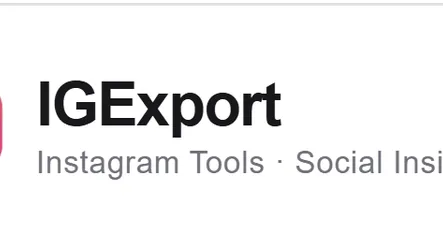 IGExport logo