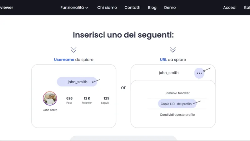 Come usare Peekviewer: inserendo il nome utente IG della persona target 
