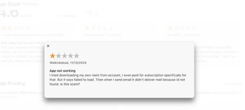 Screenshot showing a review of the Insaver Instagram downloader.
