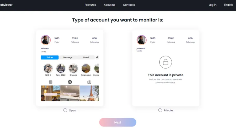 How to use Peekviewer – choosing the Instagram account type (public or private) you want to monitor