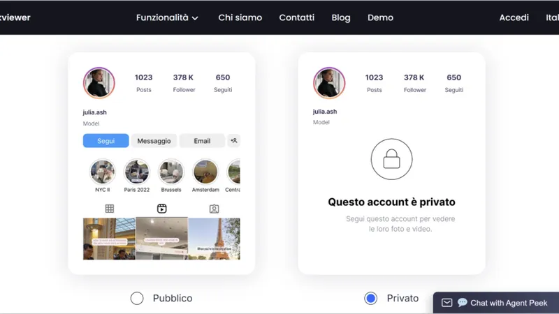 Come usare Peekviewer: selezionare il tipo di account che si desidera monitorare