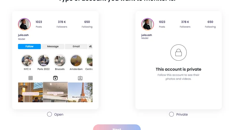 choose a type of account for the instagram likes viewer