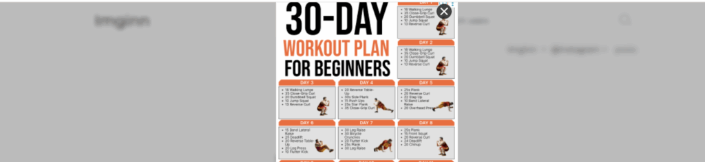 Screenshot showing ads on the Imginn website.