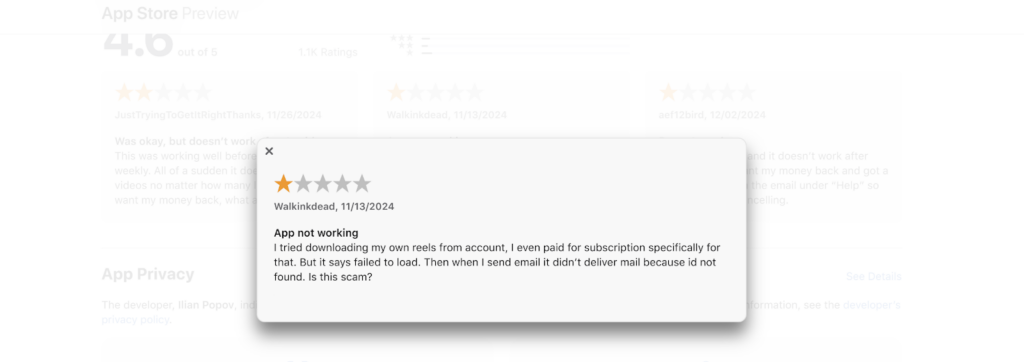 Screenshot showing a review of the Insaver Instagram downloader.