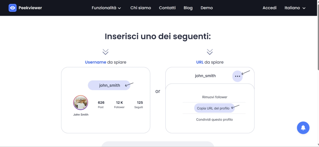 Come usare Peekviewer: inserendo il nome utente IG della persona target 
