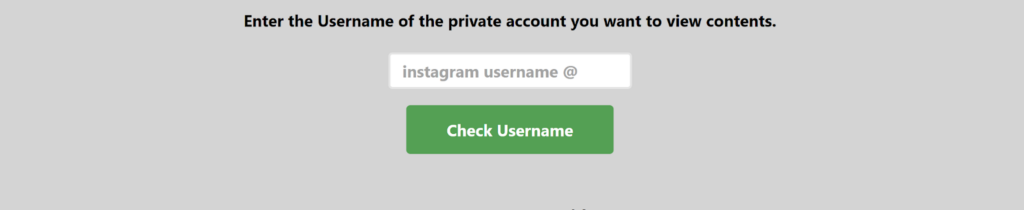Screenshot showing the steps to use an Instagram viewer tool: enter the username of the Instagram profile you want to view