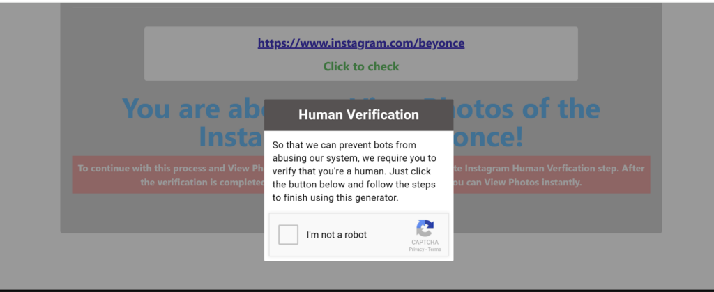 Screenshot showing the steps to use an Instagram viewer tool: complete human verification 