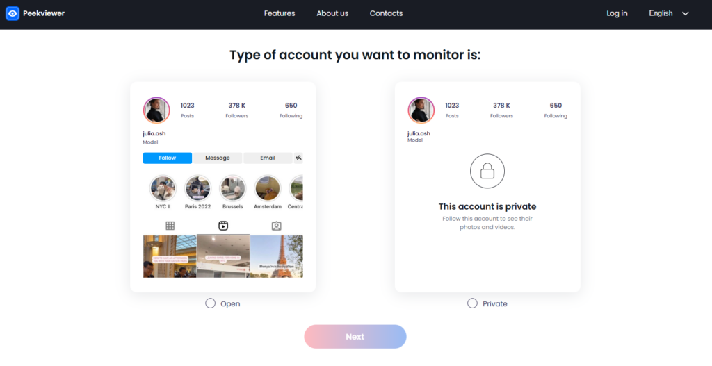 How to use Peekviewer – choosing the Instagram account type (public or private) you want to monitor